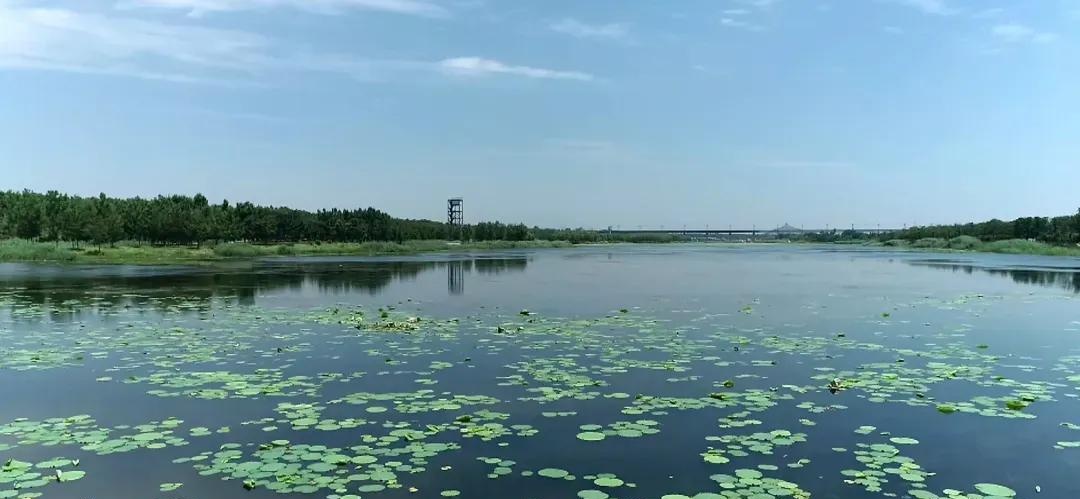 高铁到齐河,玩欧乐堡逛大清河,尝黄河美食