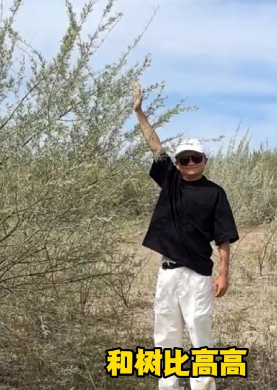 马云还有“狠招”!阿里备胎曝光,填补国内AI芯片空白!