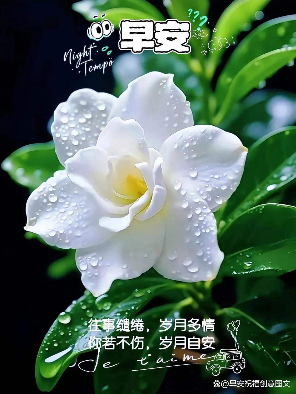 2025年8月9日周六晨安珍藏晨曦心光慢煮人间值得
