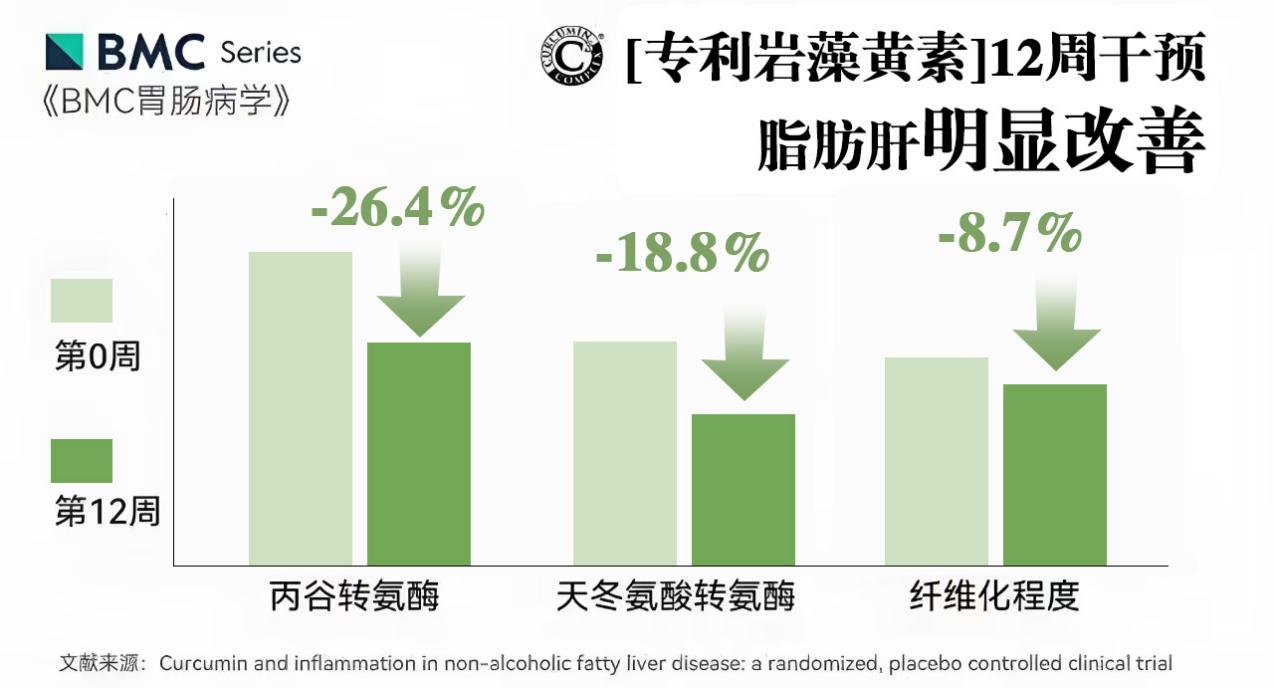 肝脂堆积加速恶疾风险！4.7亿人陷危机，双专利“吉利肝”成护肝关键