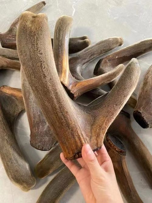 专家深度说2025：鹿茸哪个牌子最靠谱？全国十大品牌副作用预防指南！