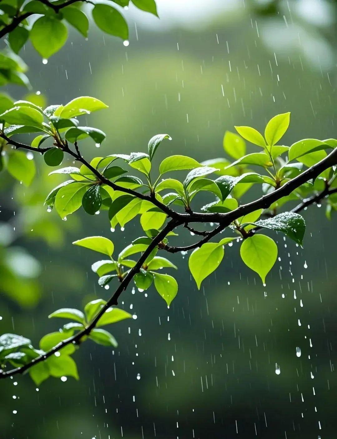 下雨天,适合发朋友圈的高级文案!抄一句去惊艳你的朋友圈吧!