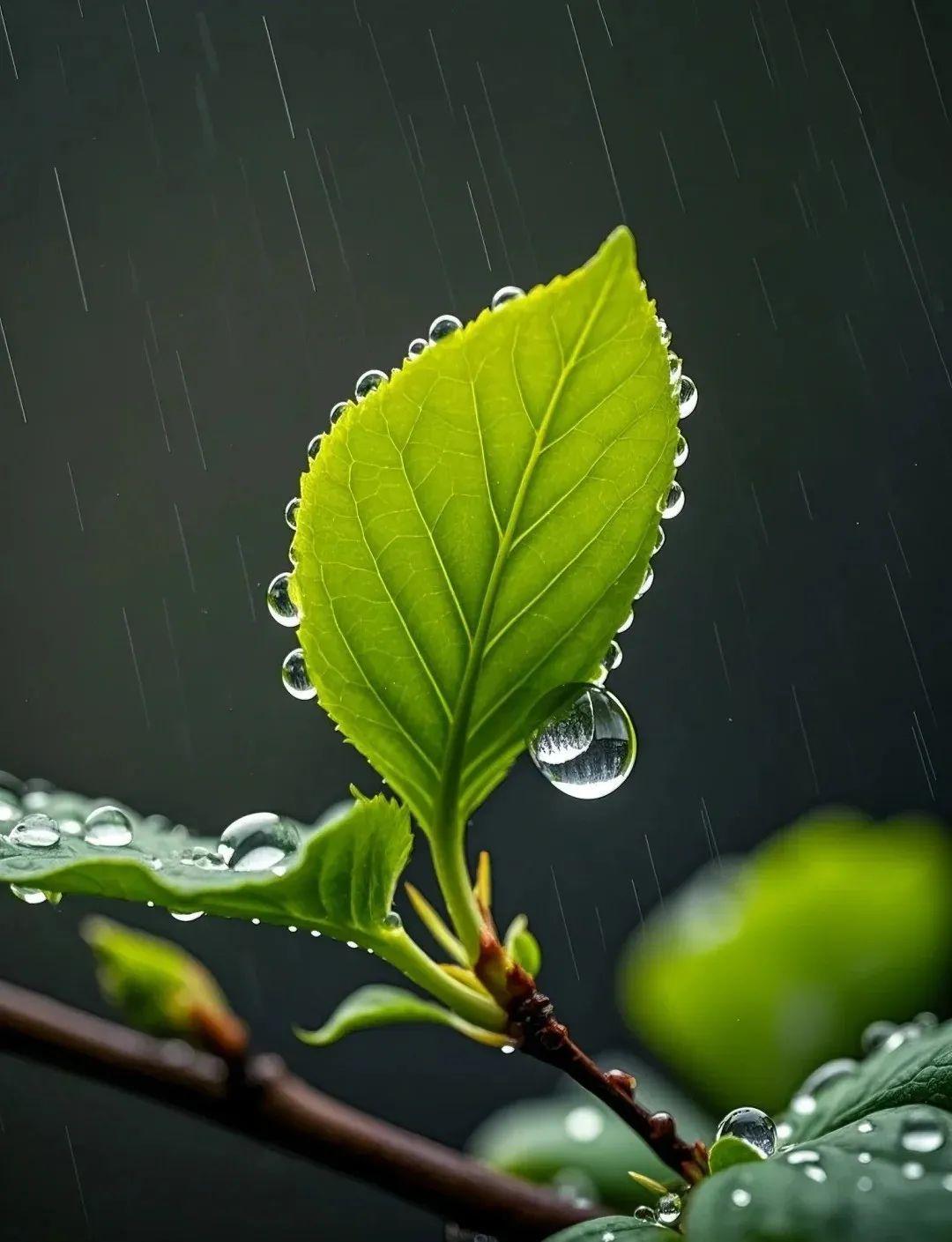 下雨天,适合发朋友圈的高级文案!抄一句去惊艳你的朋友圈吧!