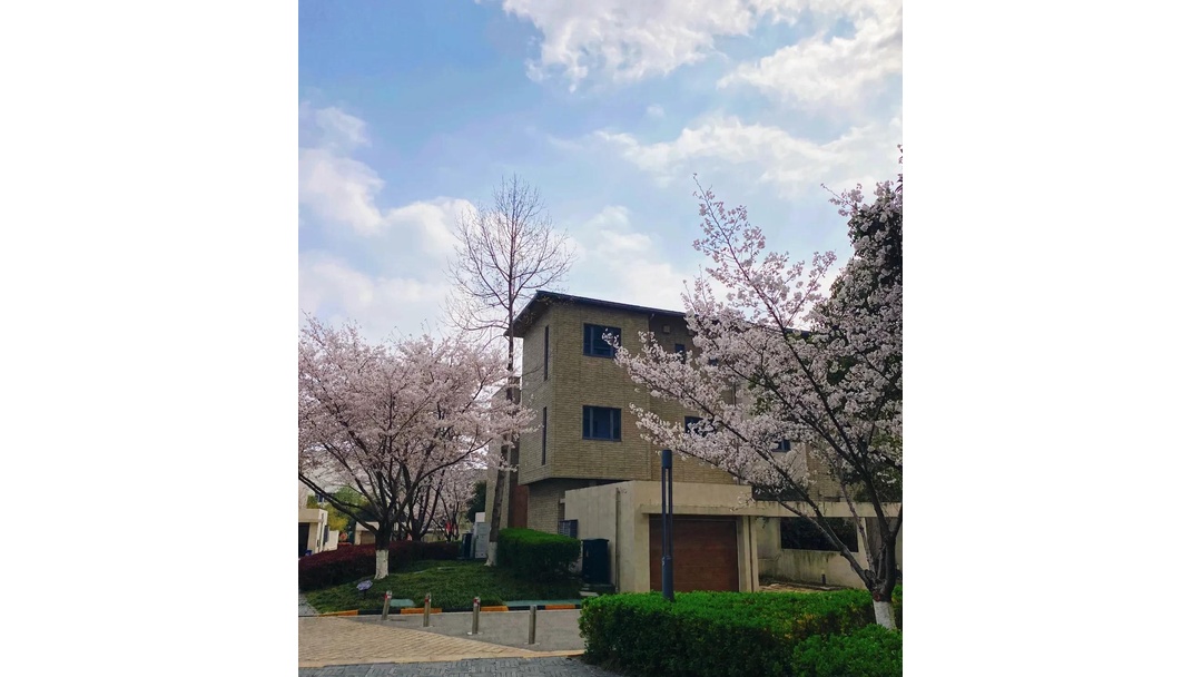 日本积水住宅苏州建小区,道路人车分流,设计简约细致