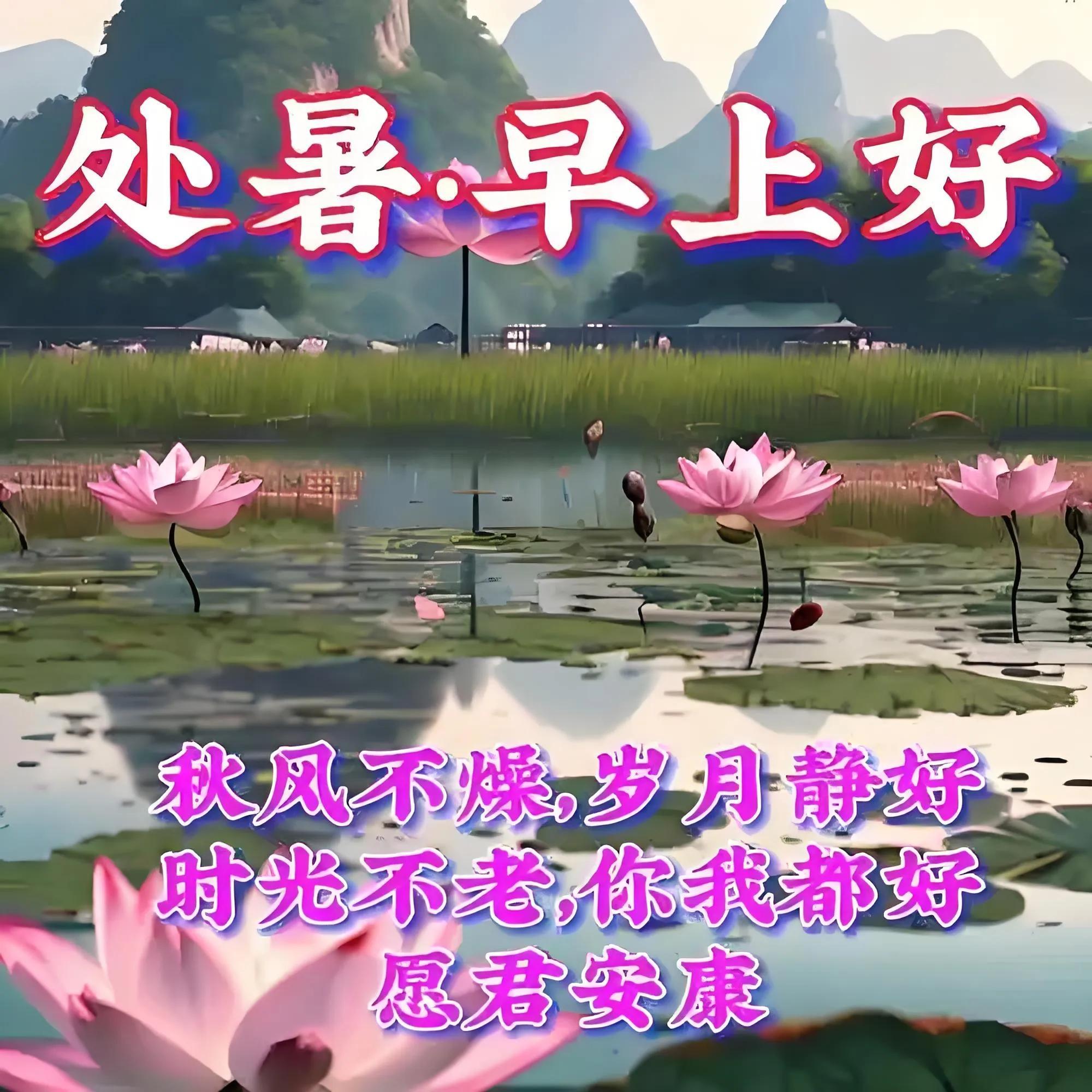 8月23日处暑中老年问候祝福