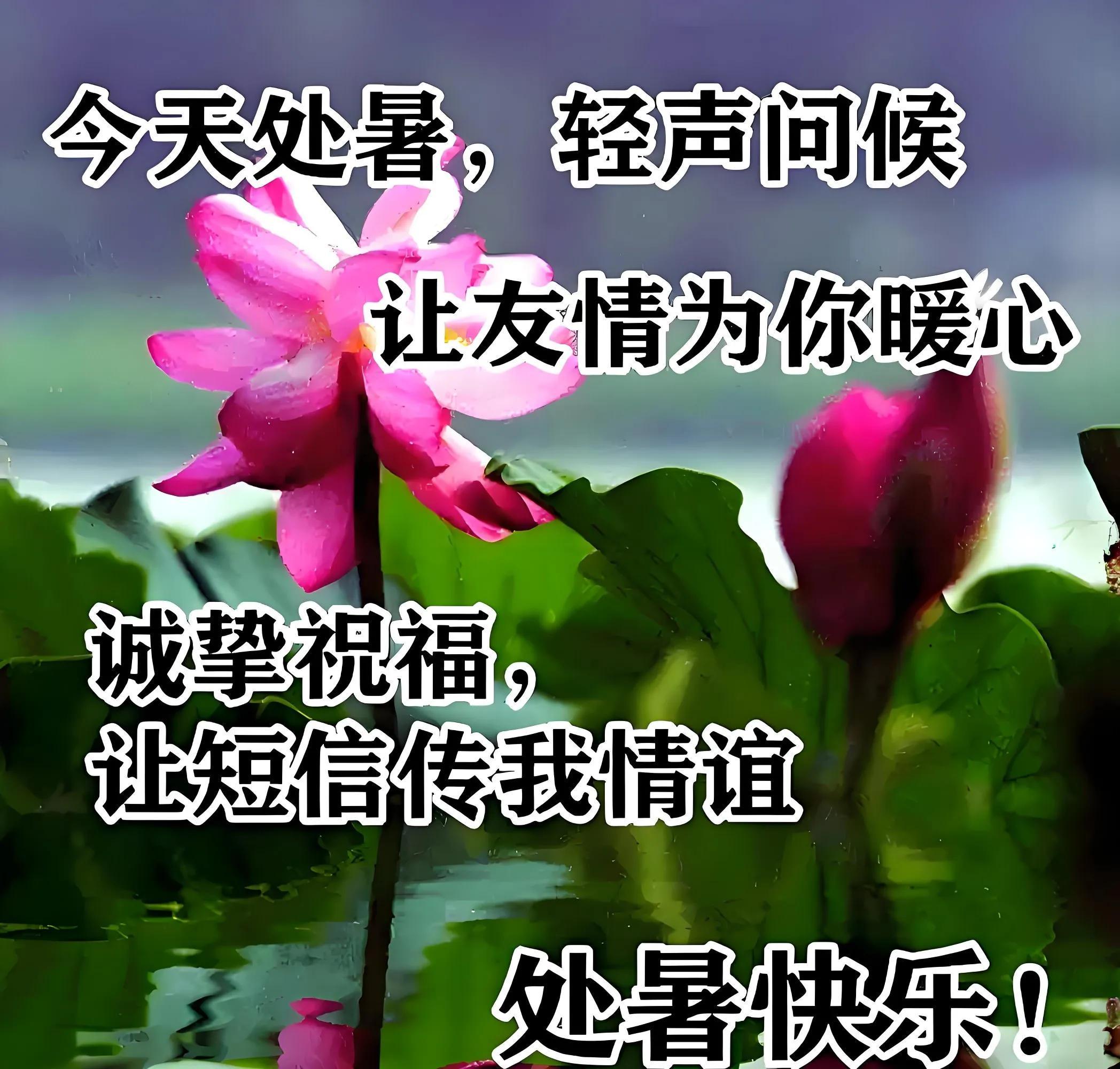 8月23日处暑中老年问候祝福