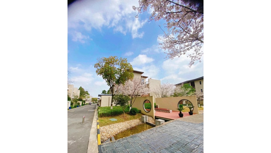 日本积水住宅苏州建小区,道路人车分流,设计简约细致