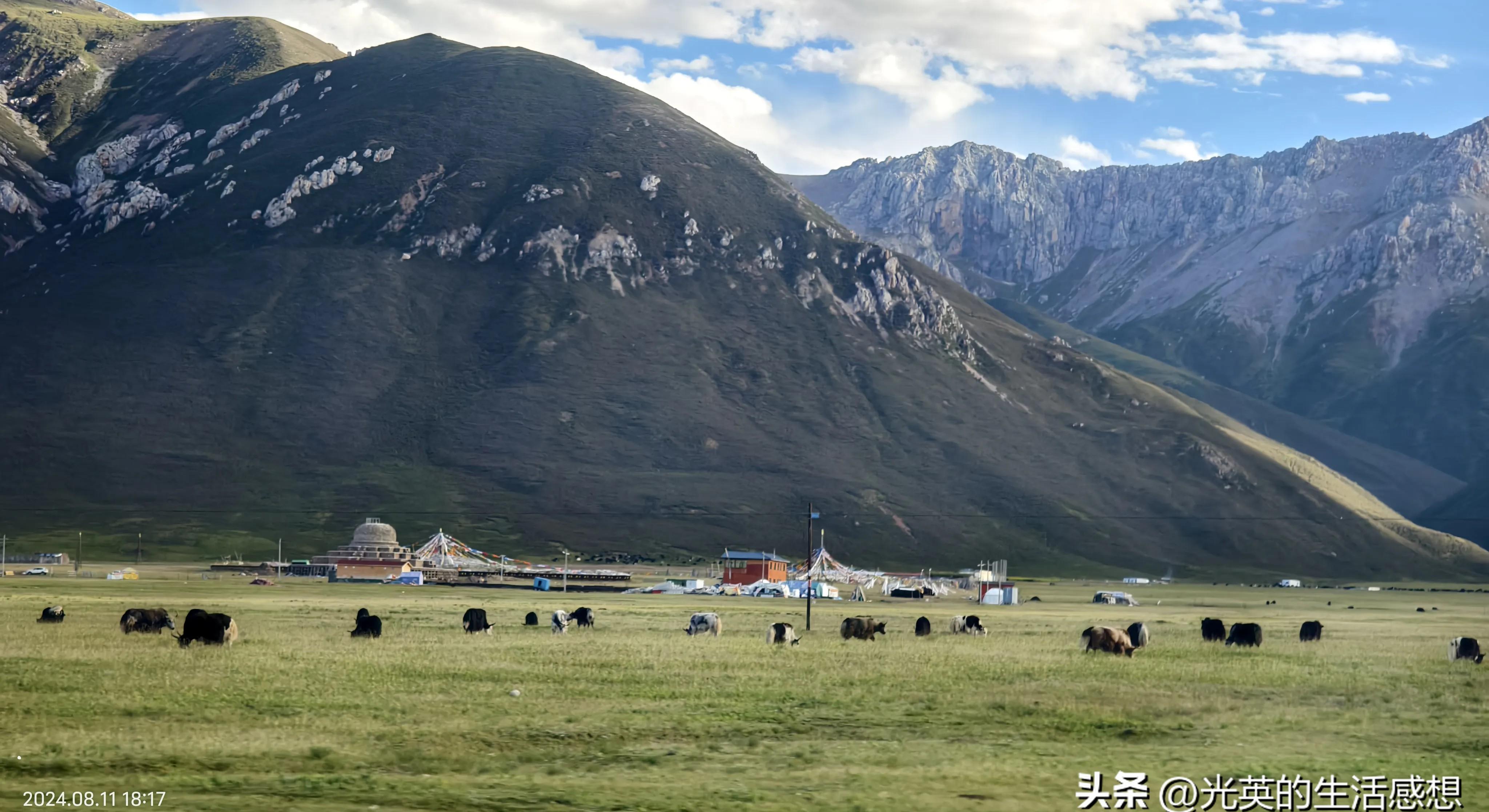青海玉树州治多县的牧民帐篷,真正的藏族牧民会提醒你我们这里没有