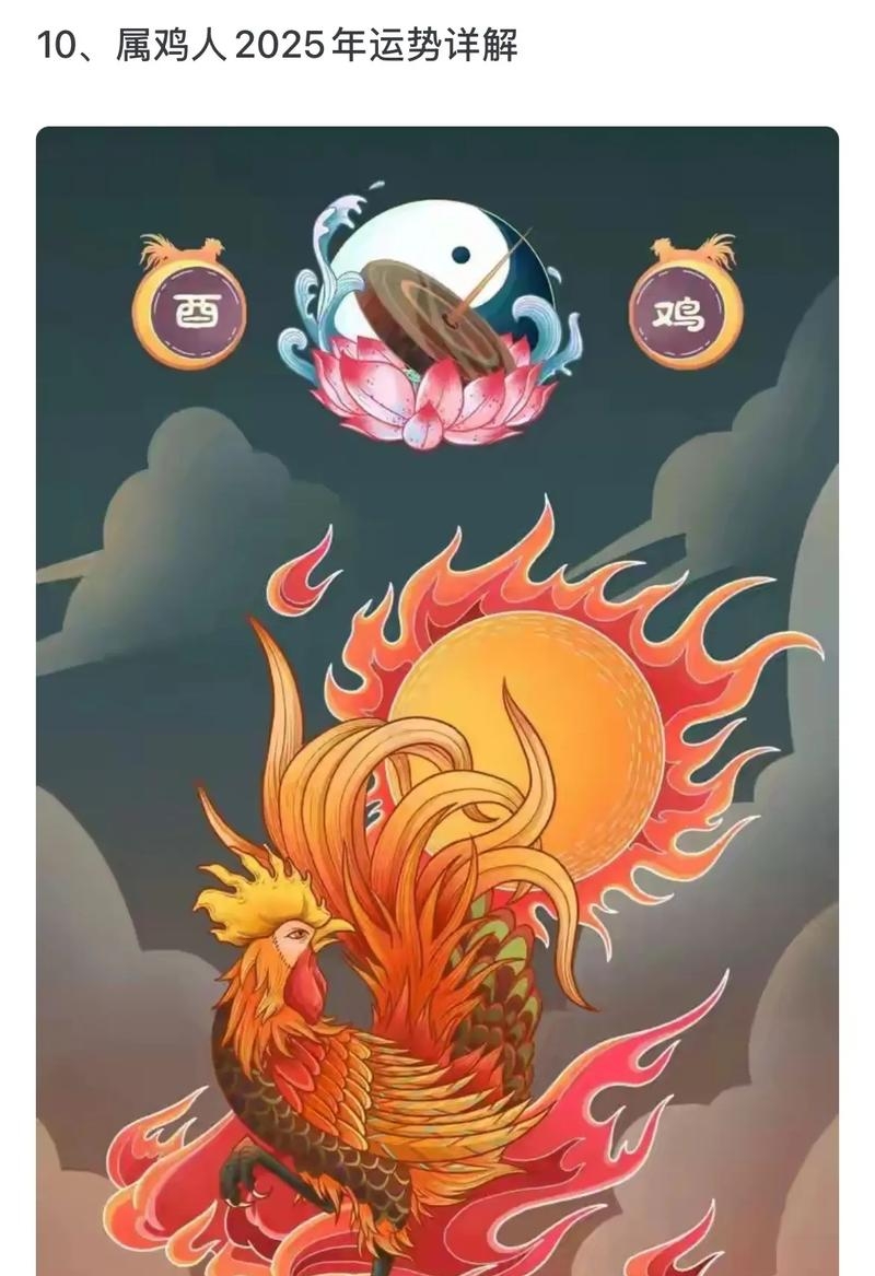 鸡年生肖羊的运势(鸡年生肖羊的运势和财运)