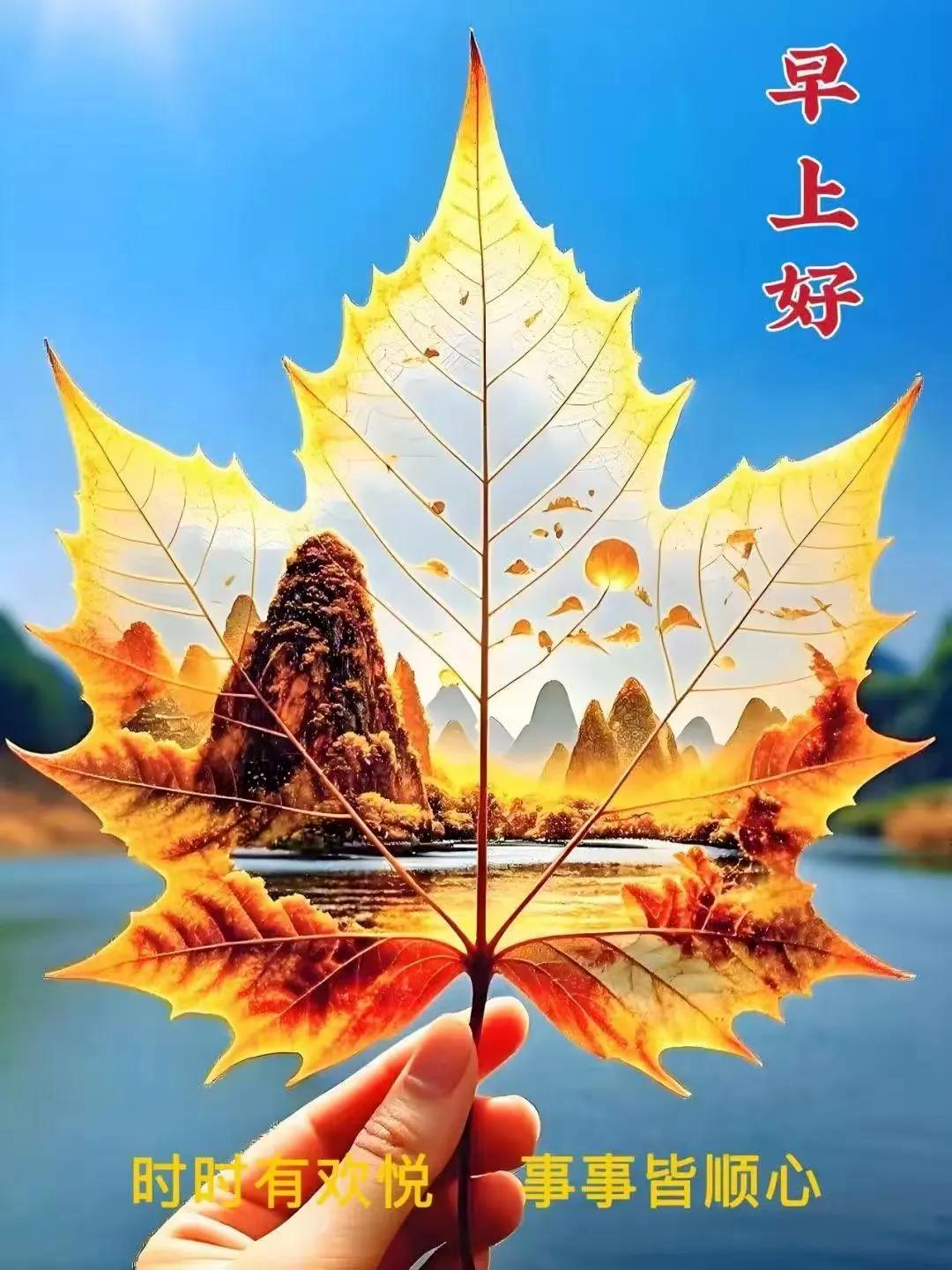 2025年8月22日早上好最漂亮早安图片,最新唯美风景早安问候图片