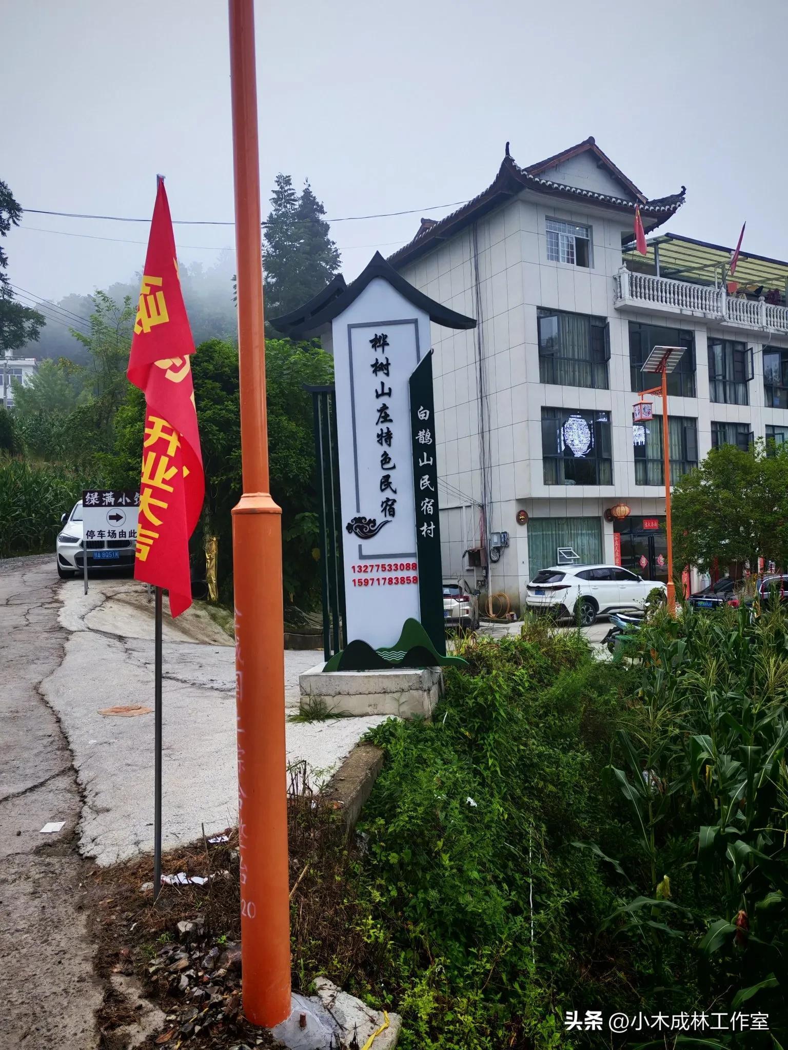 凉城利川白鹊山:民宿佼佼者的"凉"心之选与"热"切期盼