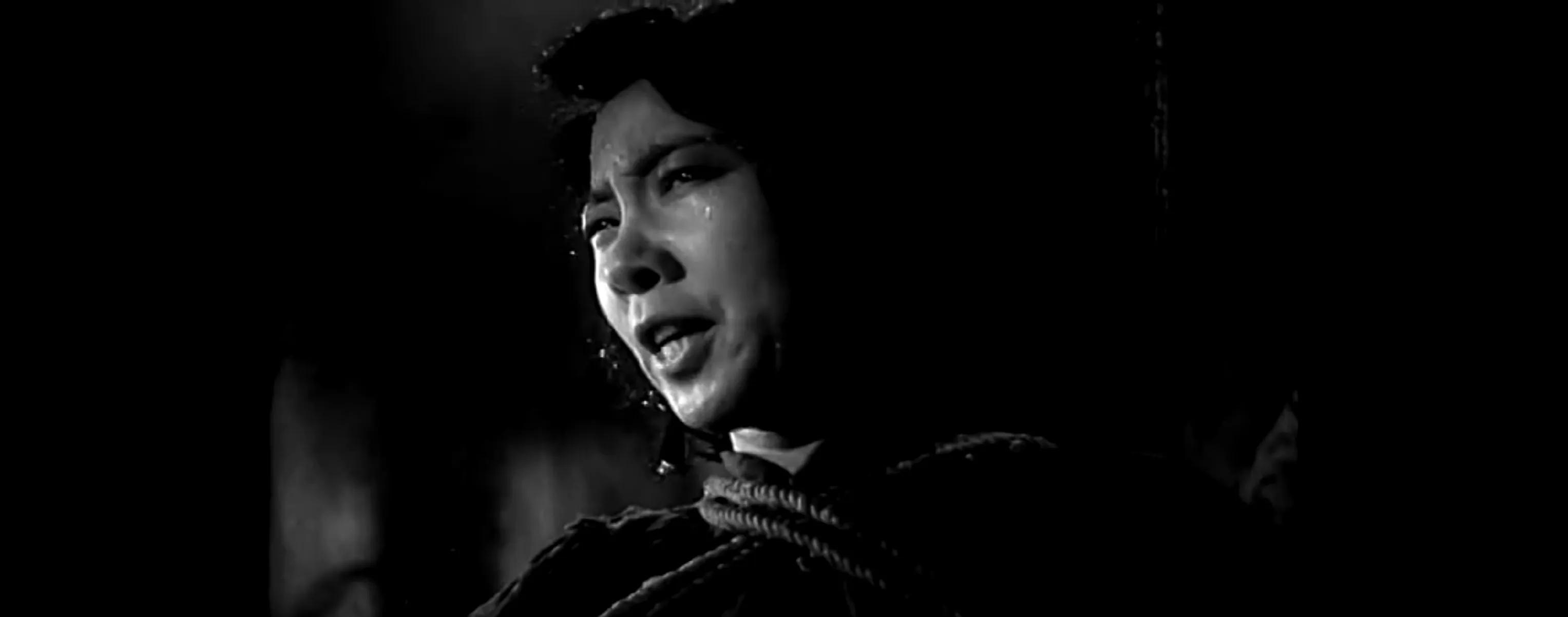 1961年《红岩》走红,沈醉却表示:书中提审江姐的描写失真