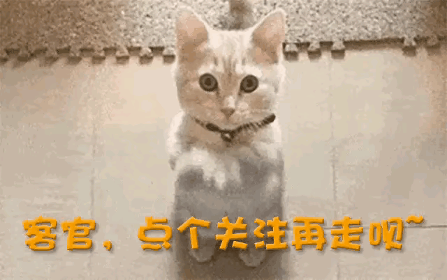 骑电动车遇断电，小周电池早坏，修师傅教正确充电-有驾