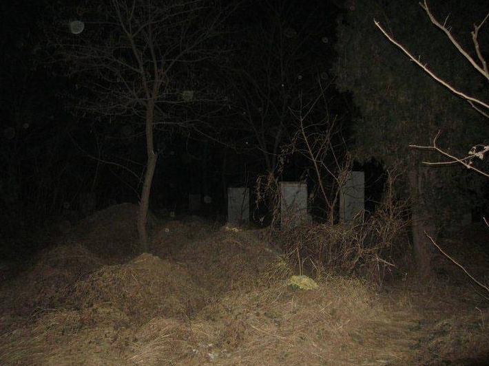 我不听劝,半夜在坟地里喊了别人的名字,结果,有个东西跟我回了家