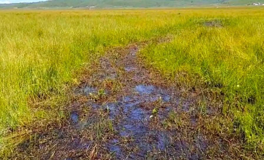 80多年时光流逝,红军长征经过的草地曾经的沼泽地如今还存在危险吗?