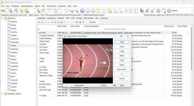 sqliteexpert,SQLiteExpertPro绿色版 sqliteexpert,SQLiteExpertPro绿色版