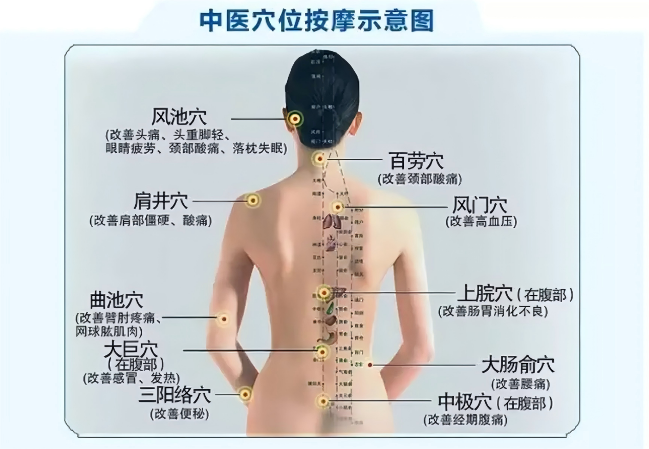 藏在后背的养生大穴!每天按一按,活血化瘀全身轻松!