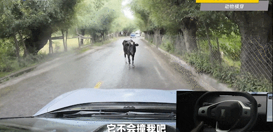 惊心动魄！新能源车高速“裸奔” 厂家甩锅“外部因素”引众怒！-有驾