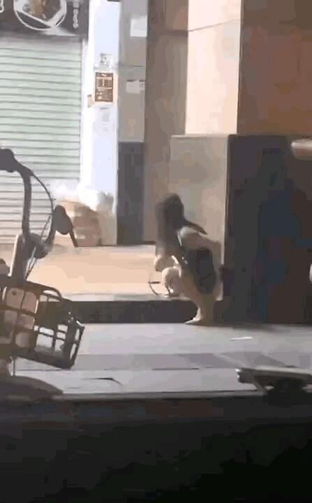 凌晨一点,监控拍下一位姑娘蹲在路边小便,裤子还没提稳就往后倒,手机