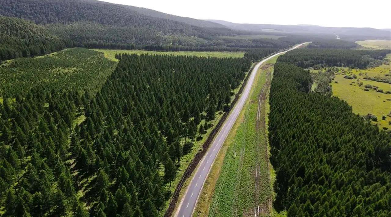 沙尘暴源于三北防护林被破坏,防护林"开口"引发风沙?