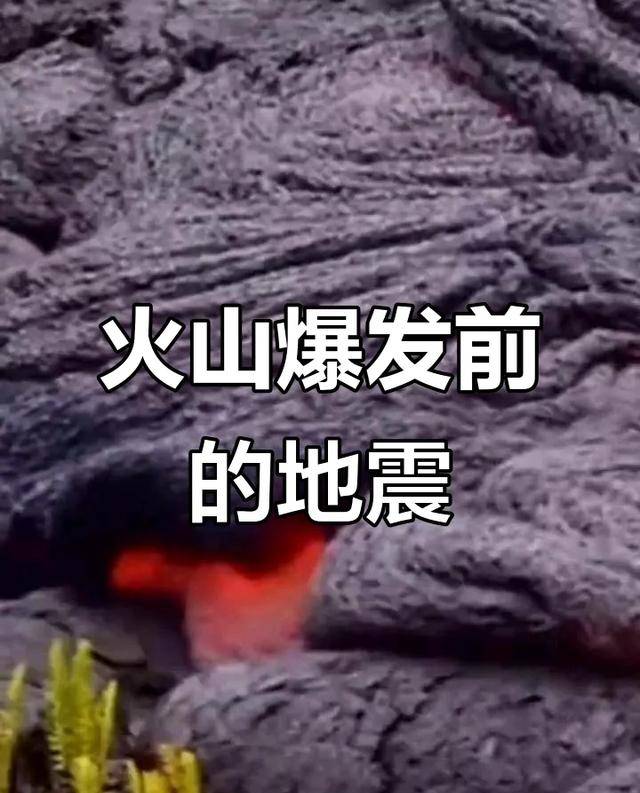 为什么有地震国家不提前通知百科在线