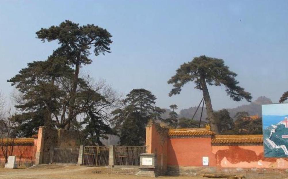 为什么雍正不葬入清东陵为什么在线