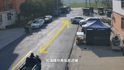 牛顿的铁拳，暴揍了“人车合一”的公路修仙梦-有驾