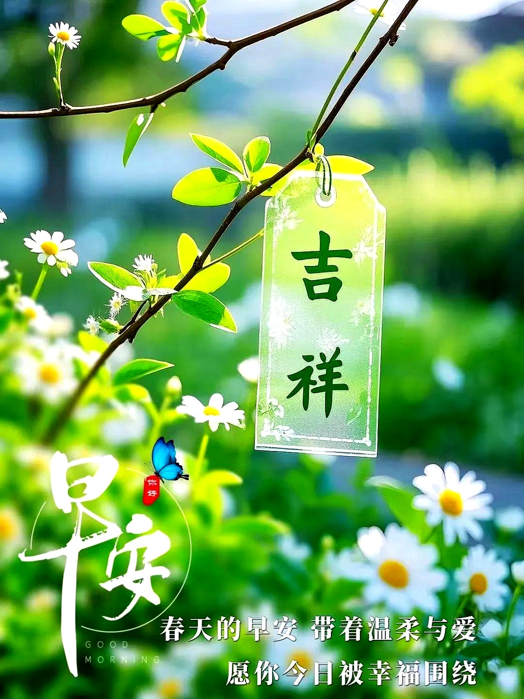 精选高级简约的早安问候语祝您每天都称心如意晨起心情灿烂如花