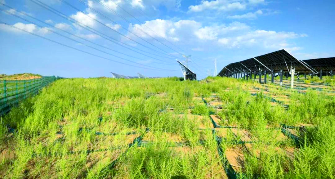 外媒发现中国沙漠大动作!这项工程抵 20 个三峡大坝,竟悄悄建成!