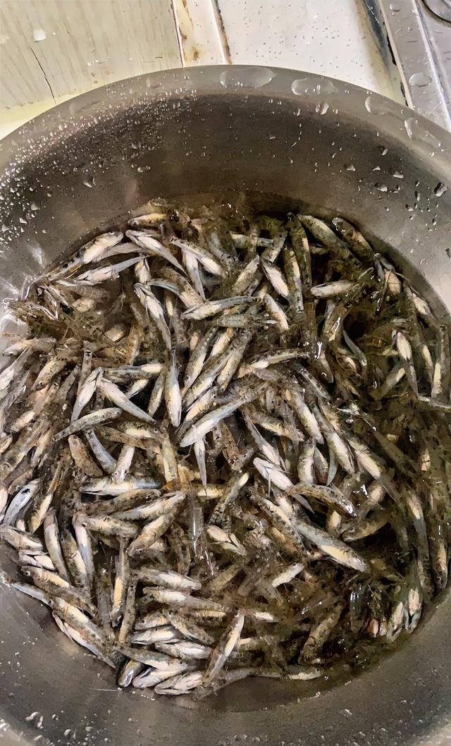 早市购得半斤小石榴鱼,尝试烹饪口感尚可