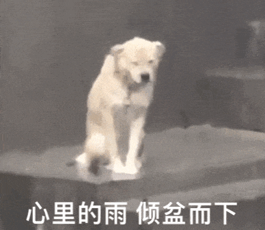 下雨天开车,路滑刹不住?老司机牢记这3招,关键时刻能保命!-有驾 下雨天开车,路滑刹不住?老司机牢记这3招,关键时刻能保命!-有驾