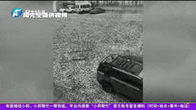 买车最大的坑:20万的理想新车被冰雹砸烂,才知道“出库”就算-有驾 买车最大的坑:20万的理想新车被冰雹砸烂,才知道“出库”就算-有驾