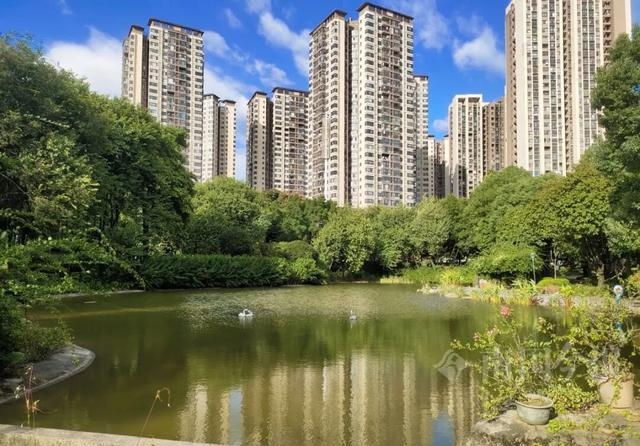 柳州天山公园池塘大变样 清澈如新吸引市民打卡