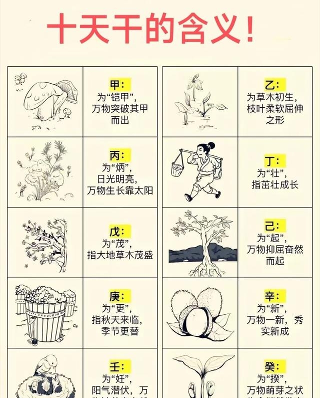 甲木日主天赋与贵人:庚金丁火成就栋梁之材