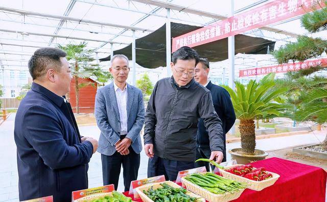 沛县县委书记丁广州赴敬安镇调研组织建设与乡村振兴工作