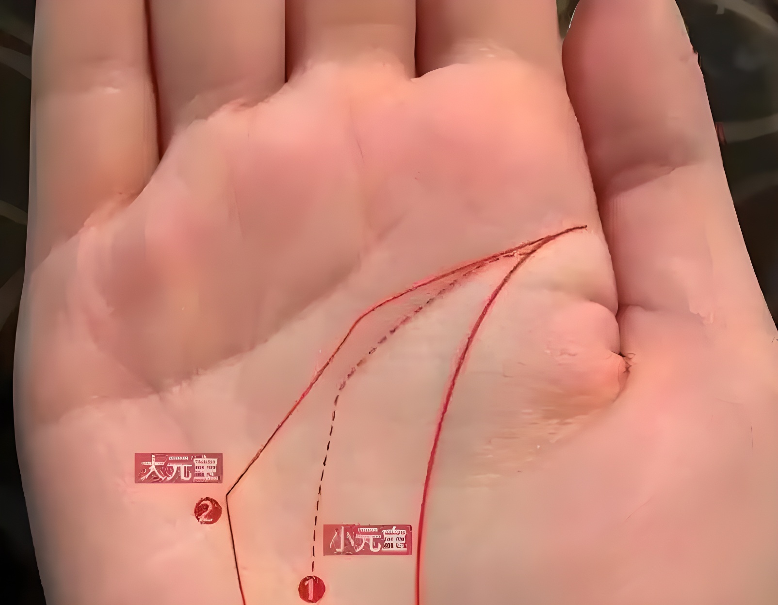 手掌上的「聚宝盆」:除了元宝纹,这几种手纹也能看出你此生富贵无忧!