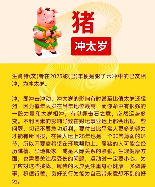 生肖猪未来运势点评(生肖猪未来运势点评视频)