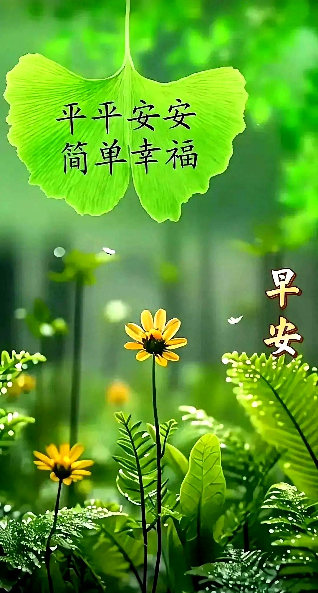 2025年11月20日周四早安分享:温暖人心的早安句子,愿你被时光温柔以待