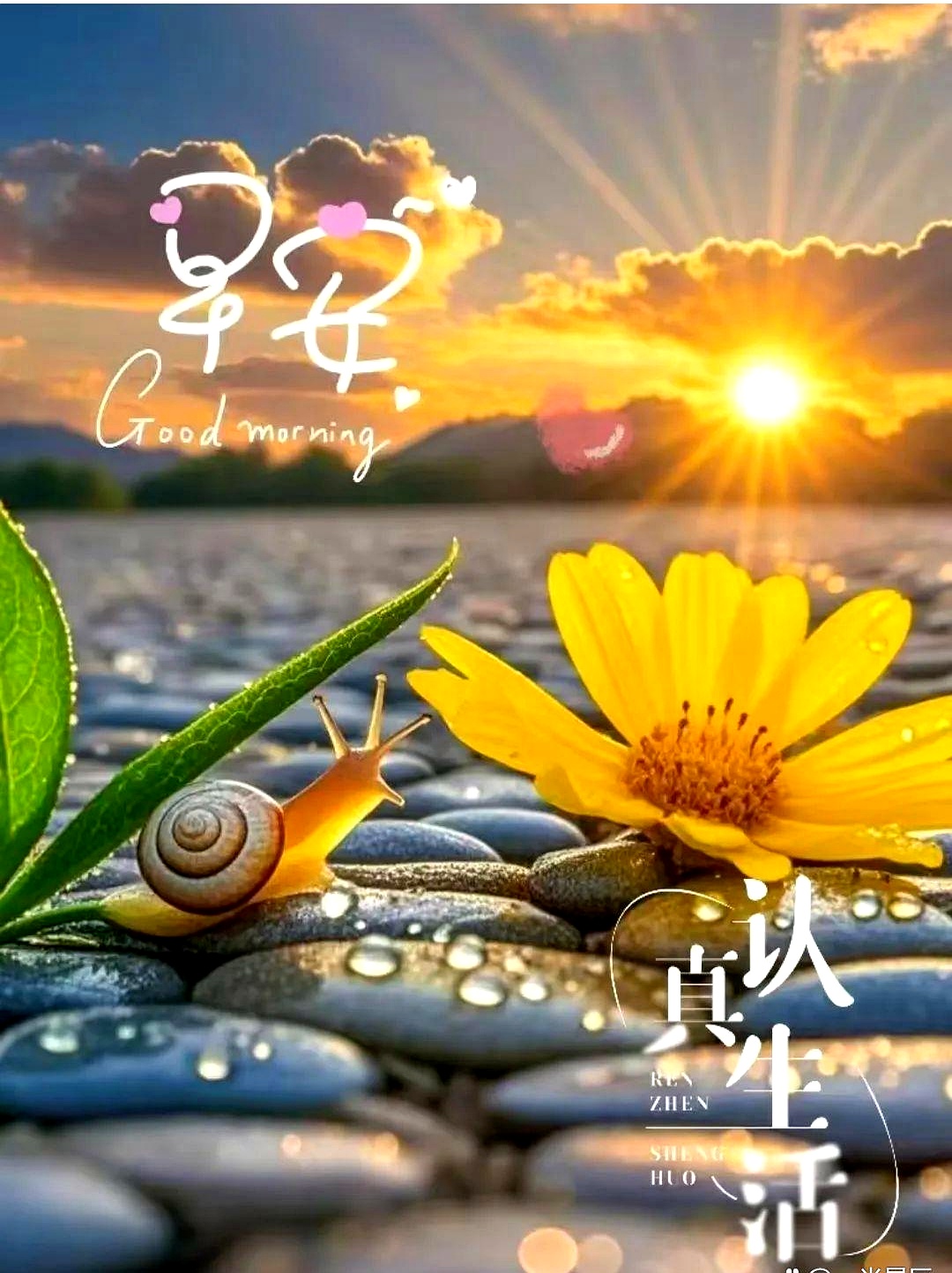 2025年11月21日周五清晨暖心问候:早安图文与心语,愿你万事顺利遇好运