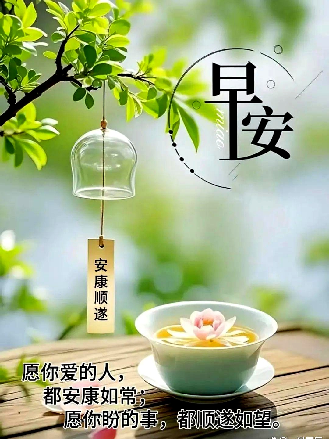 2025年11月21日周五清晨暖心问候:早安图文与心语,愿你万事顺利遇好运