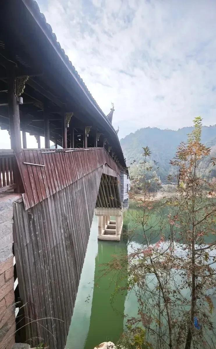 这座全国最长的木拱廊桥,就在温州!两毁两建,三廊相连