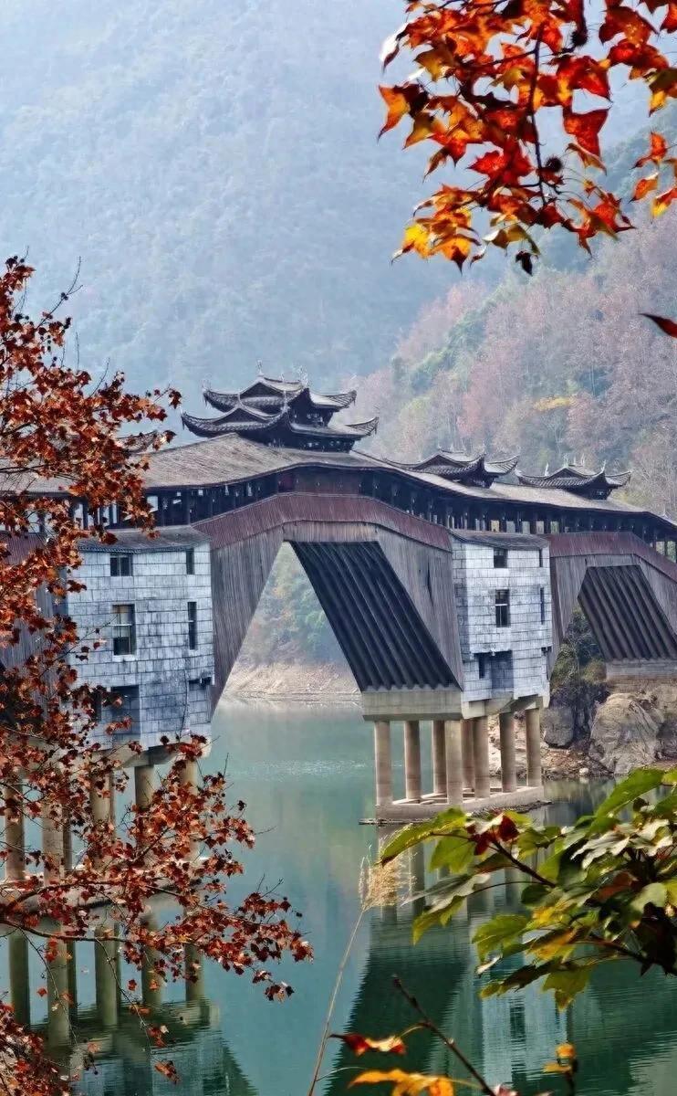 这座全国最长的木拱廊桥,就在温州!两毁两建,三廊相连