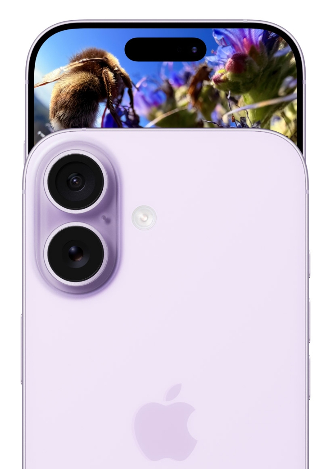 iphone17销量破1550万台标准版成销冠