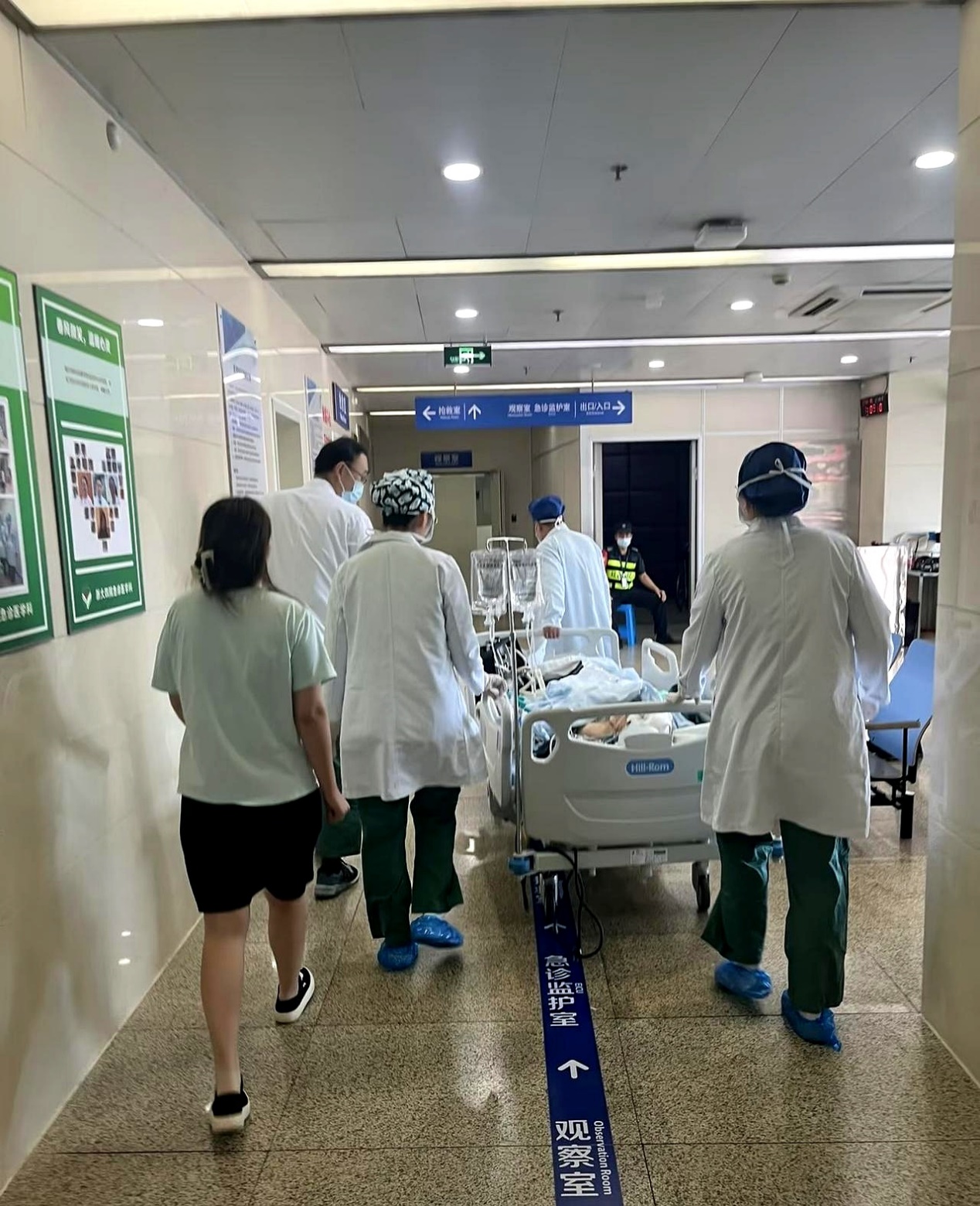 包含中日友好医院医院排队代办挂号重症患者全程照料，身心都得到安抚的词条