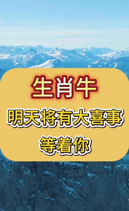 每天说生肖运势的博主(生肖运势每天看)