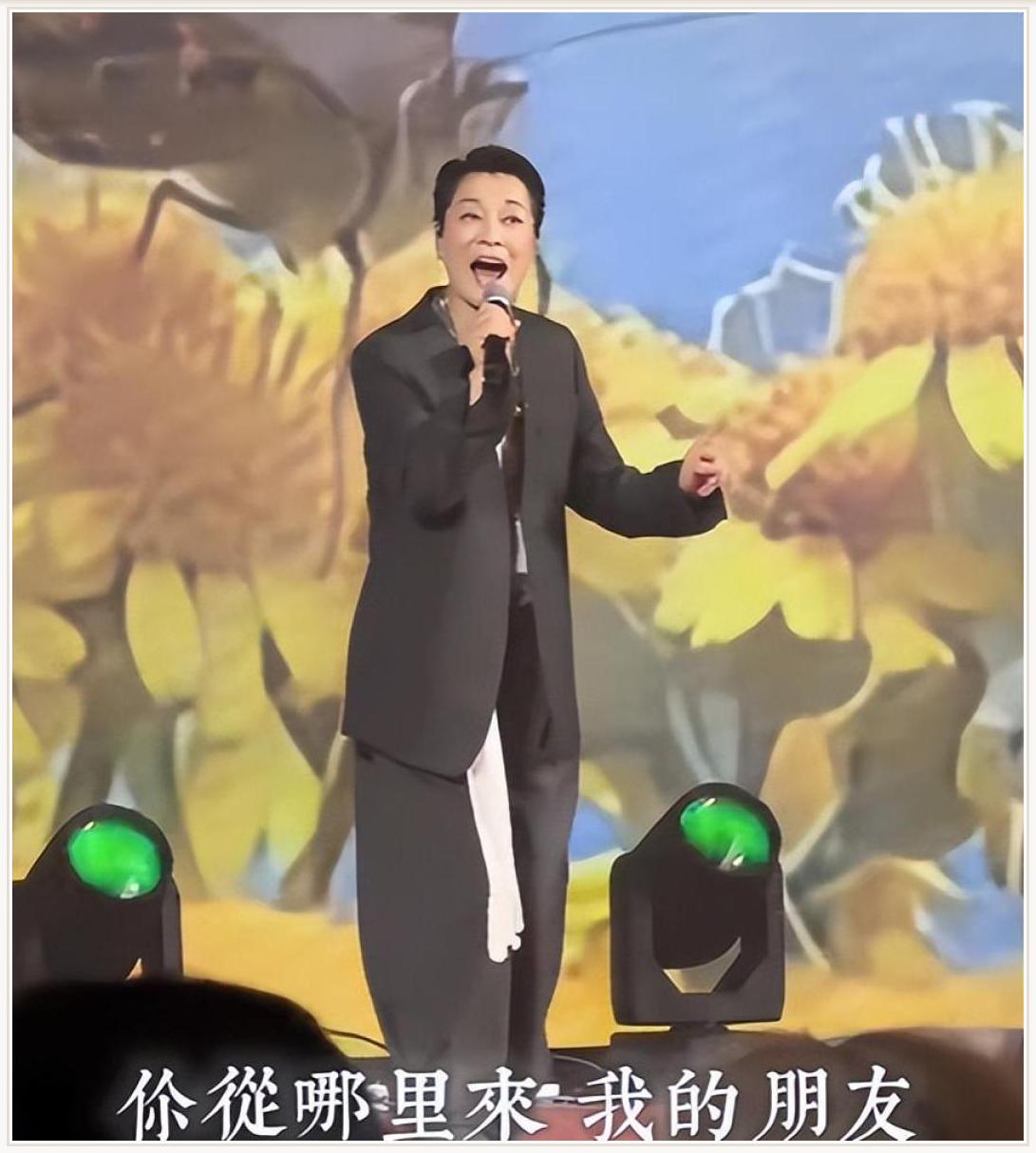 毛阿敏vs毛不易同代跨界毛不易靠综艺翻红她却只能靠商演维持存在感