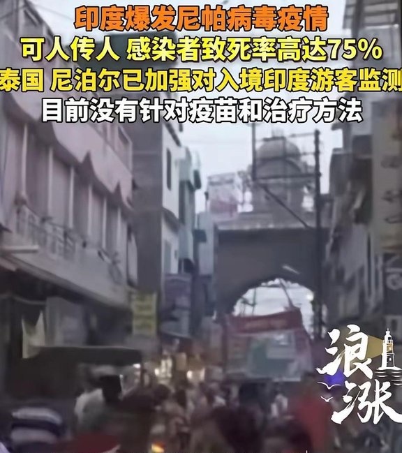 印度疫情病毒变种(印度的新冠病毒)