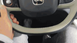 奇瑞QQ再次走红的可能性有多大，先了解竞争对手即可知晓答案-有驾