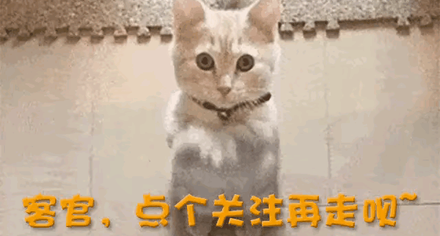 2000公里续航是噱头？风云T9L的大五座才是家用核心-有驾