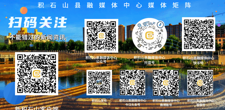 交管提醒：电子驾照换照片半年仅限一次，这几类照片直接驳回，你拍对了吗？-有驾